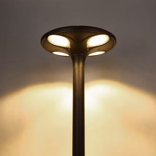 IP65 30W 50W 60W 80W Lampada da giardino a energia solare per esterni in alluminio impermeabile facile da installare con pannello e batteria al litio